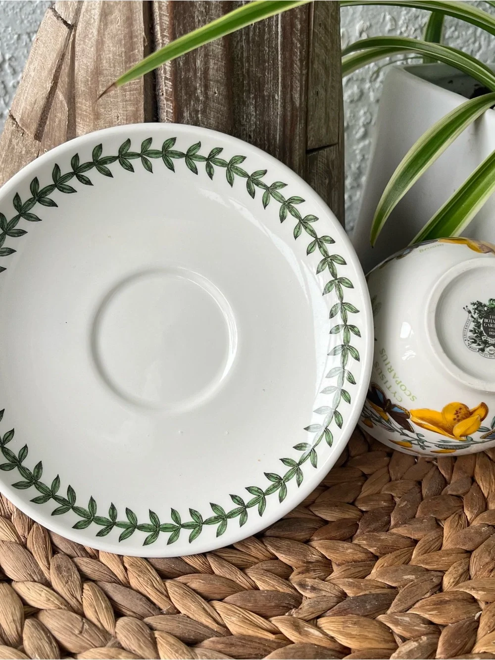 Portmeirion Botanic Garden cup and saucer SET Cytisus Scoparius / Broom